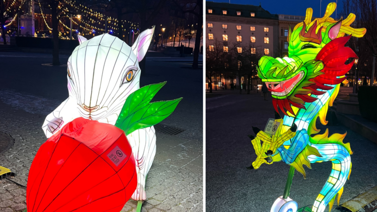 Upplev fantastiska ljusinstallationer i Kungsan 🐇🐉
