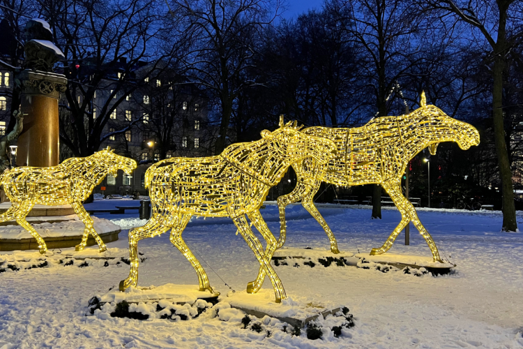 Belysta älgar i snö på Nybroplan i Stockholm.